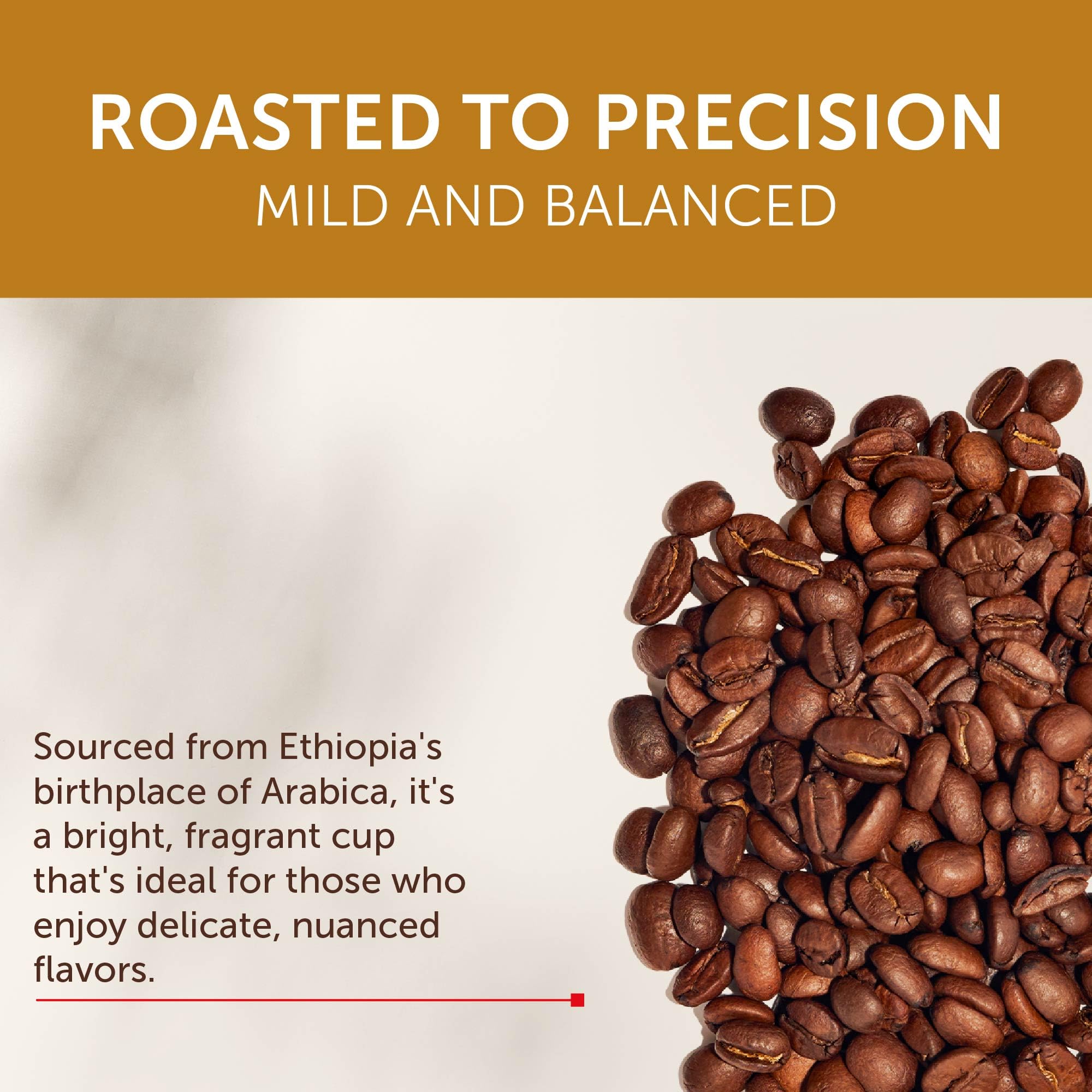 illy Whole Bean Coffee, Etiopa Single Origin Medium Roast, 8.8oz, 6 Pack