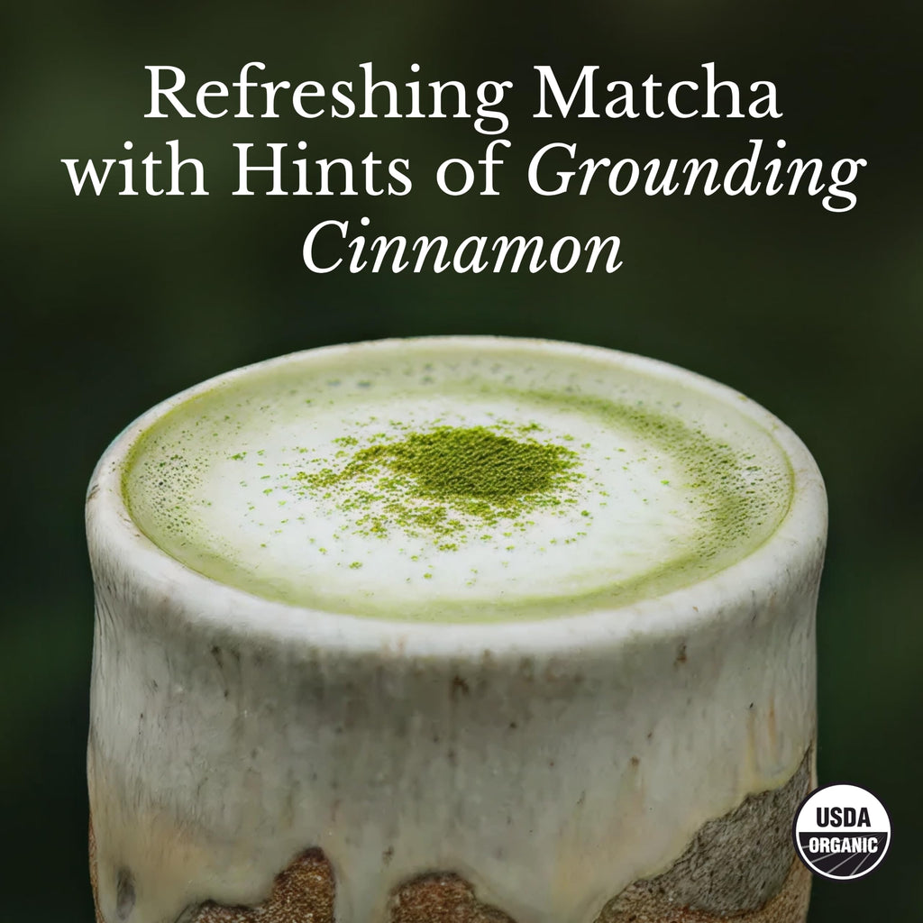 MUDWTR Mushroom Matcha Powder, Japanese Matcha Powder Blend, 30 Servings