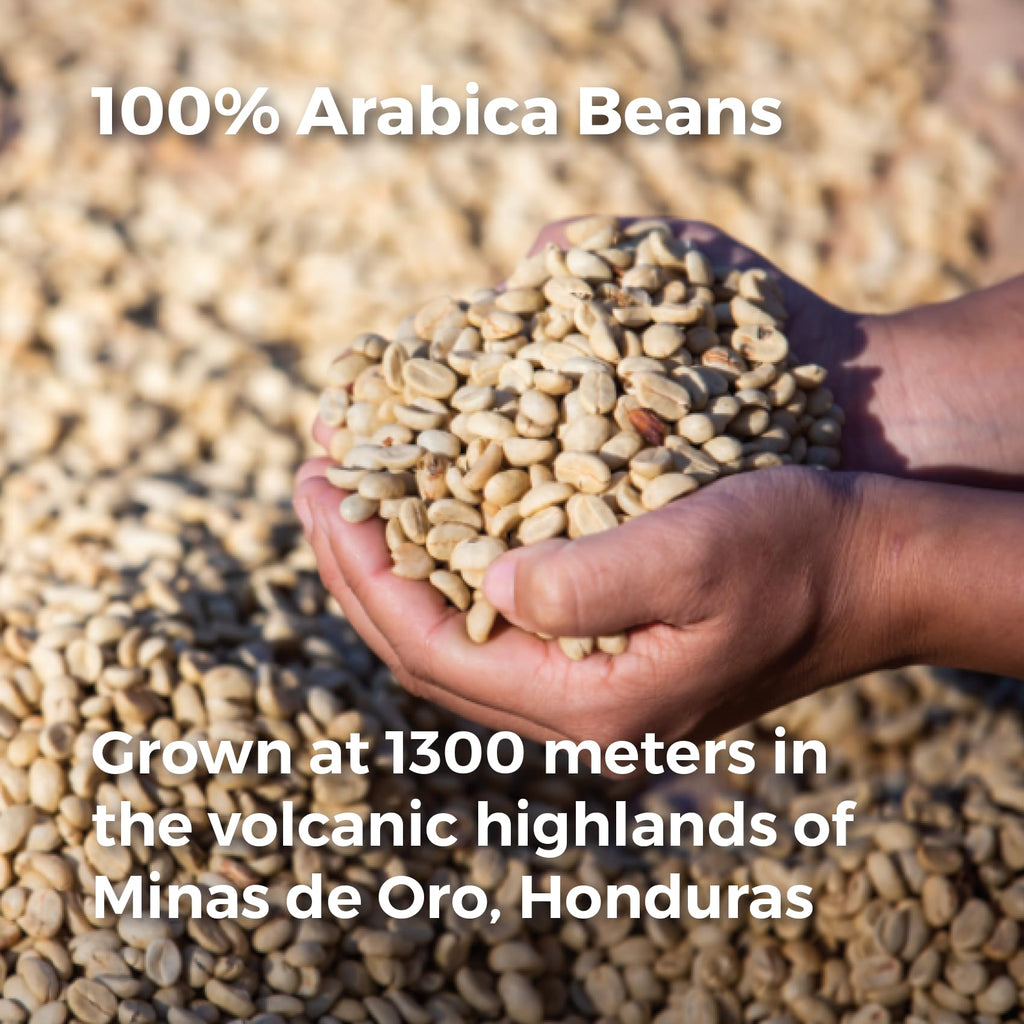 Don Memo Medium Roast Whole Bean Coffee 12 oz – Single-Origin Honduran Arabica Beans, Small Batch, Smooth & Balanced