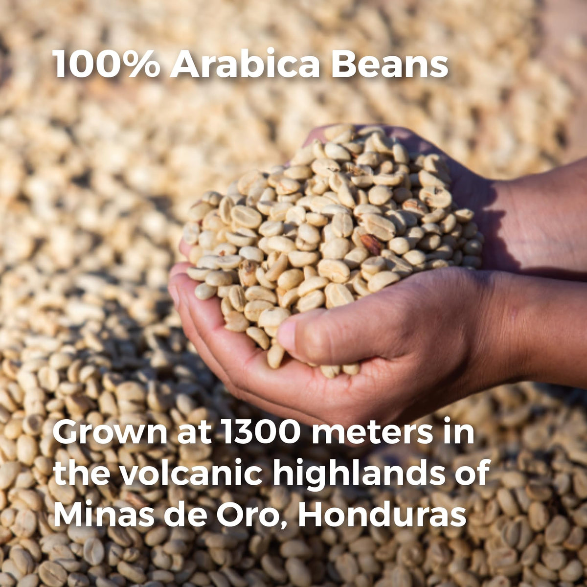Don Memo Medium Roast Whole Bean Coffee 12 oz – Single-Origin Honduran Arabica Beans, Small Batch, Smooth & Balanced
