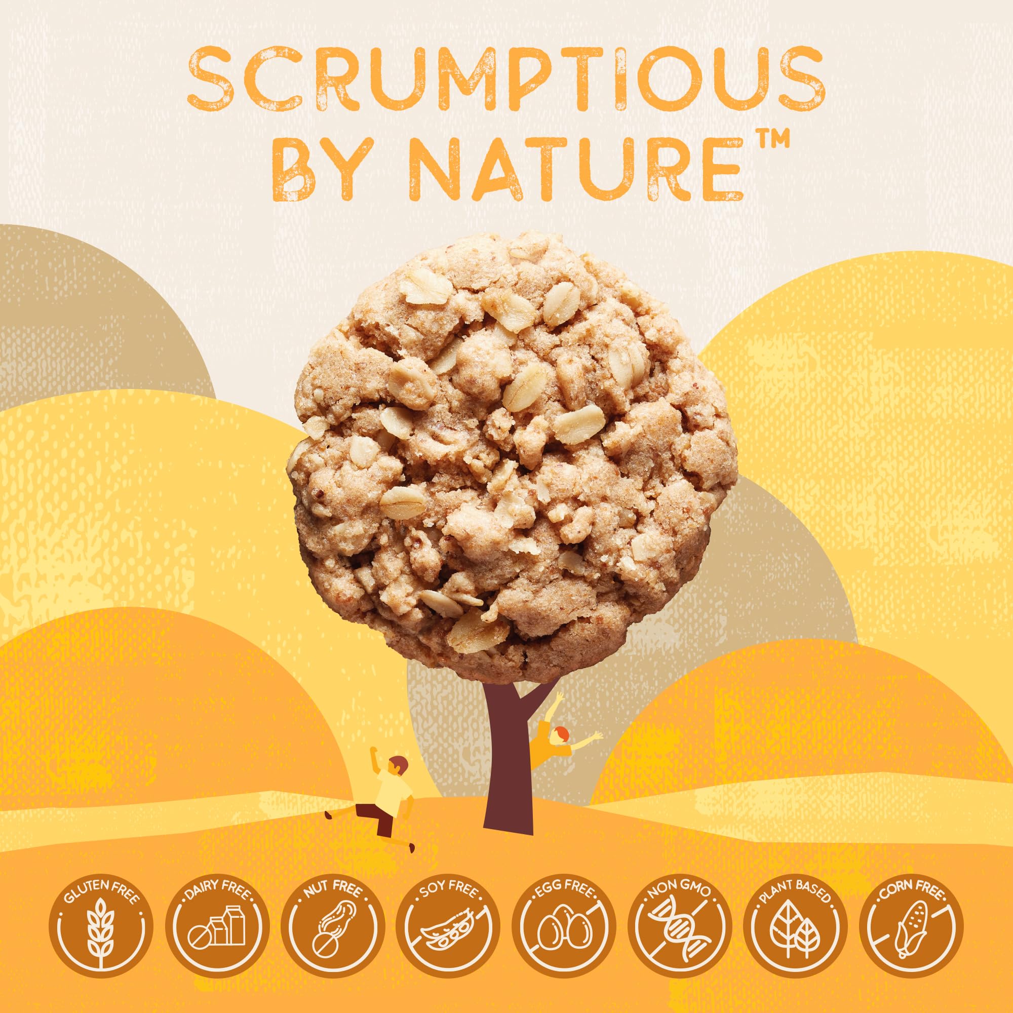 Autumn Sons Baking Co. Gluten Free Oatmeal Cinnamon Cookie Mix. Vegan Plant Based Baking Mix. Top 9 Allergen Free. Dairy Free, Nut Free, Soy Free, Non GMO. 9.3 oz (Pack of 3)