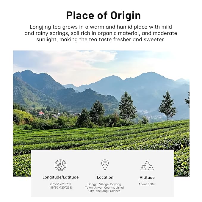 iTeaworld LongJing - Dragon Well Tea Green Tea, 2025 New Chinese Loose Leaf Tea,Rich Bean Aroma,Pure Leaf Green Tea Unsweetened,Hot and Cold Brew- 1 Pack(3.5oz)