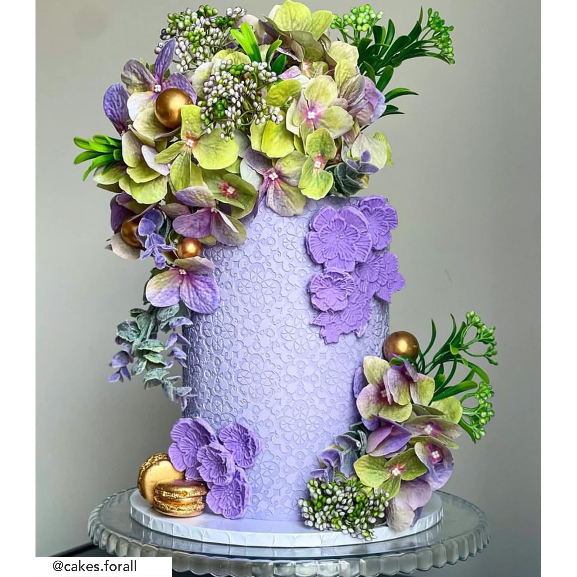 Lacupella Cake Decorating Stencil for Tall Buttercream Cake, Royal Icing, Ganache, Paint, Airbrush (ALETTE)