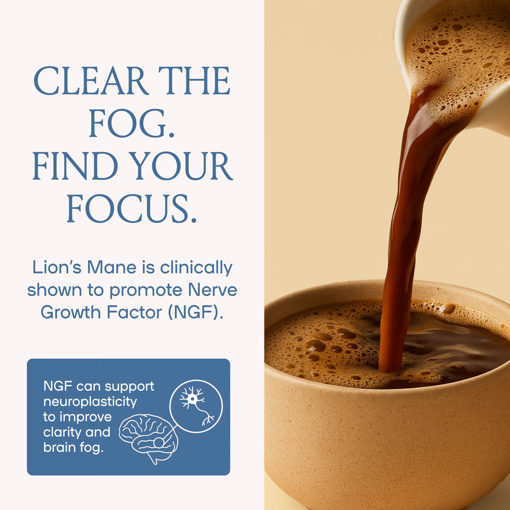 Mushroom Coffee, 20 Cups of Focus, Productivity & Clean Energy, Instant Mushroom Coffee with Lions Mane, Cordyceps and L-Theanine