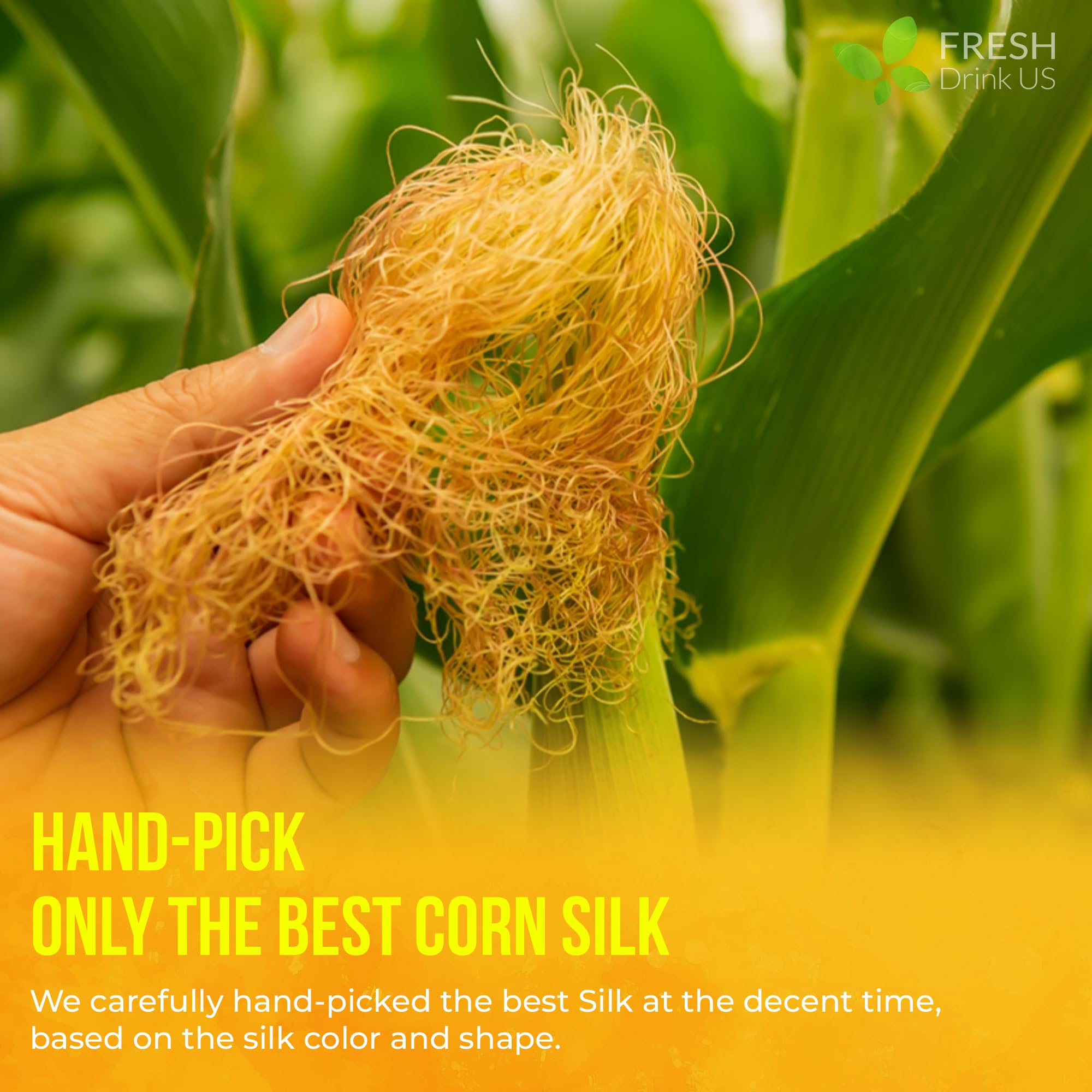 FreshDrinkUS, Premium 75 Tea Bags Corn Silk Tea, 100% Natural & Pure from Corn Silk. Corn Silk Herbal Tea. Clean Ingredients. Made with Natural Material Tea Bags. No Sugar, No Caffeine, Vegan.