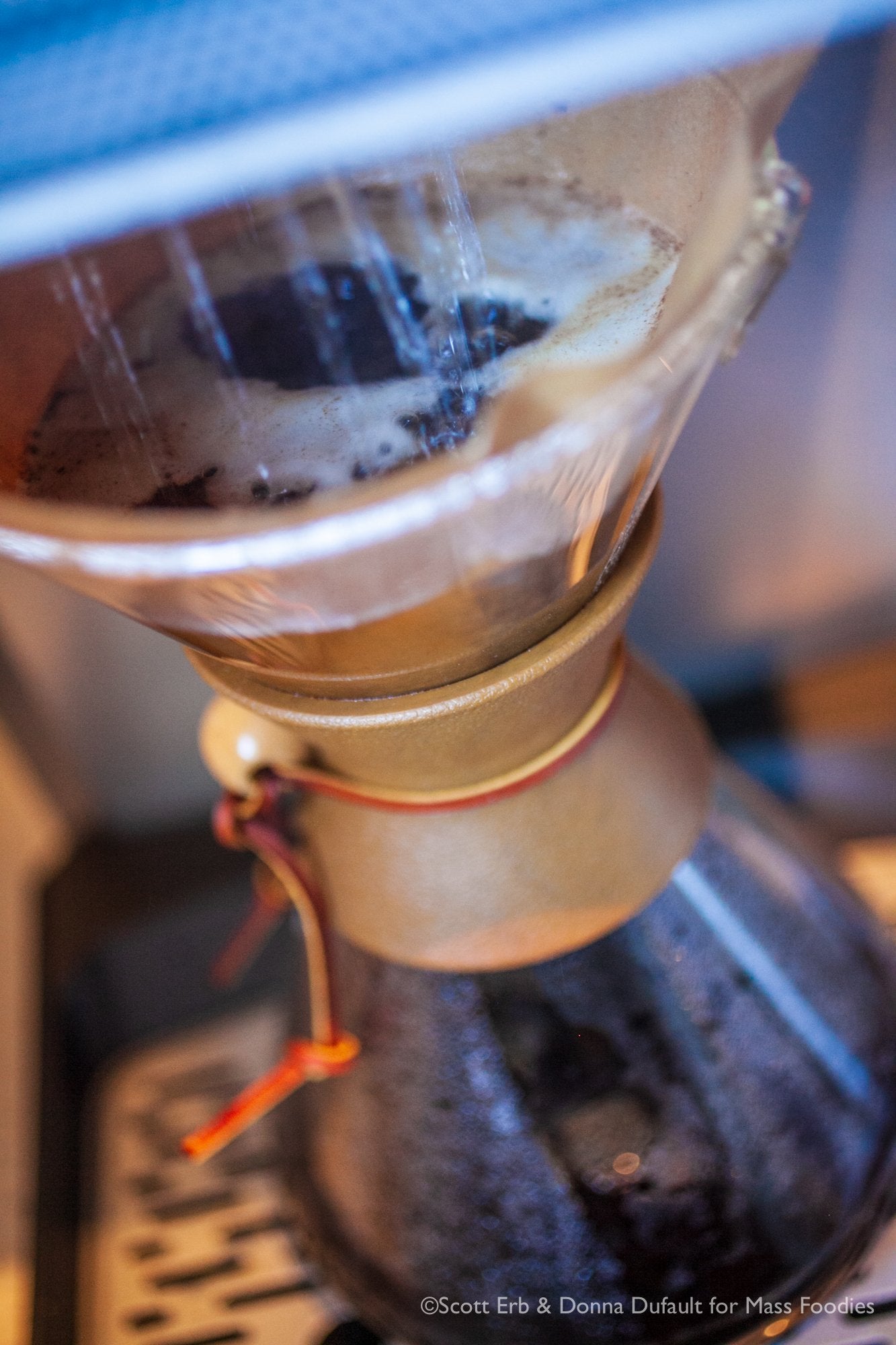 Tanzania Peaberry Coffee - Good As Gold Coffee Roasters - 5lb Whole Bean (Medium Roast) - 100% arabica