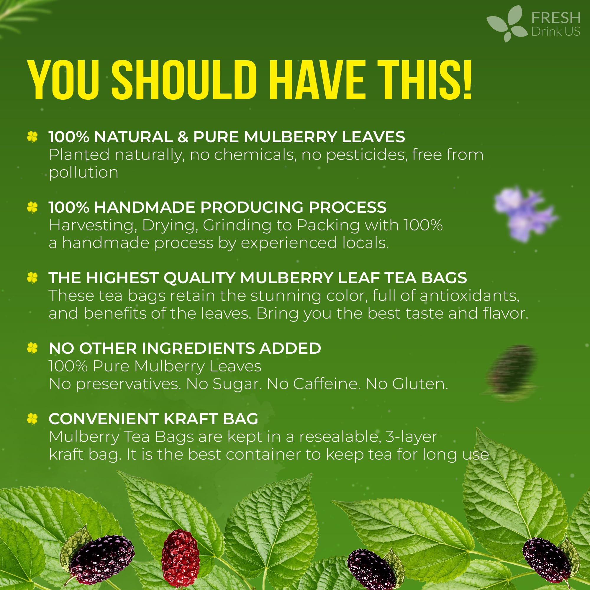 FreshDrinkUS Premium 75 Mulberry Leaf Tea Bags, 100% Natural & Pure. Loose Leaf Herbal Tea. Made with Natural Material Tea Bags. No Sugar, No Caffeine, No Gluten, Vegan