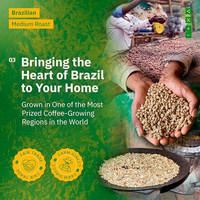 Kochere Brazilian Specialty Whole Bean Coffee – 2LB Medium Roast – Freshly Roasted to Order – Single Origin, Farm Direct, Smooth Cocoa Notes – Whole Bean