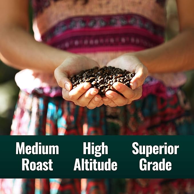 Natural Force - Organic Clean Coffee Classic, Mold & Mycotoxin Free, Lab Tested for Toxins & Purity, Low Acidity, Incredible Taste & Aroma, Whole Bean Medium Roast, 12 oz