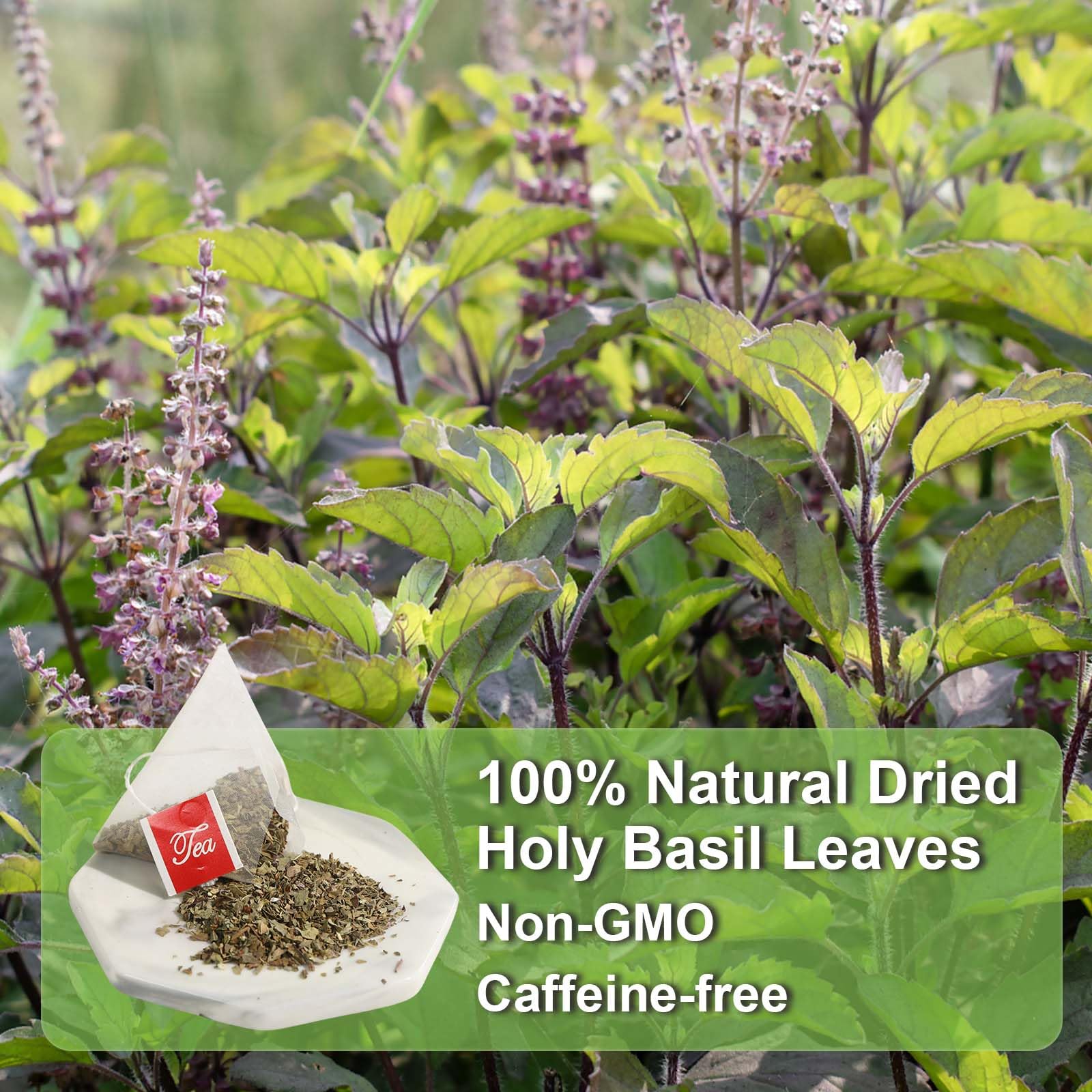 FullChea - Holy Basil Tea Bags, 40 Count, Dried Holy Basil Leaves