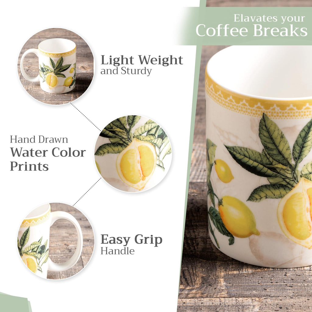 Maison d' Hermine Coffee Mug with Handles Tea Cups (12 Ounce, Pack of 2)