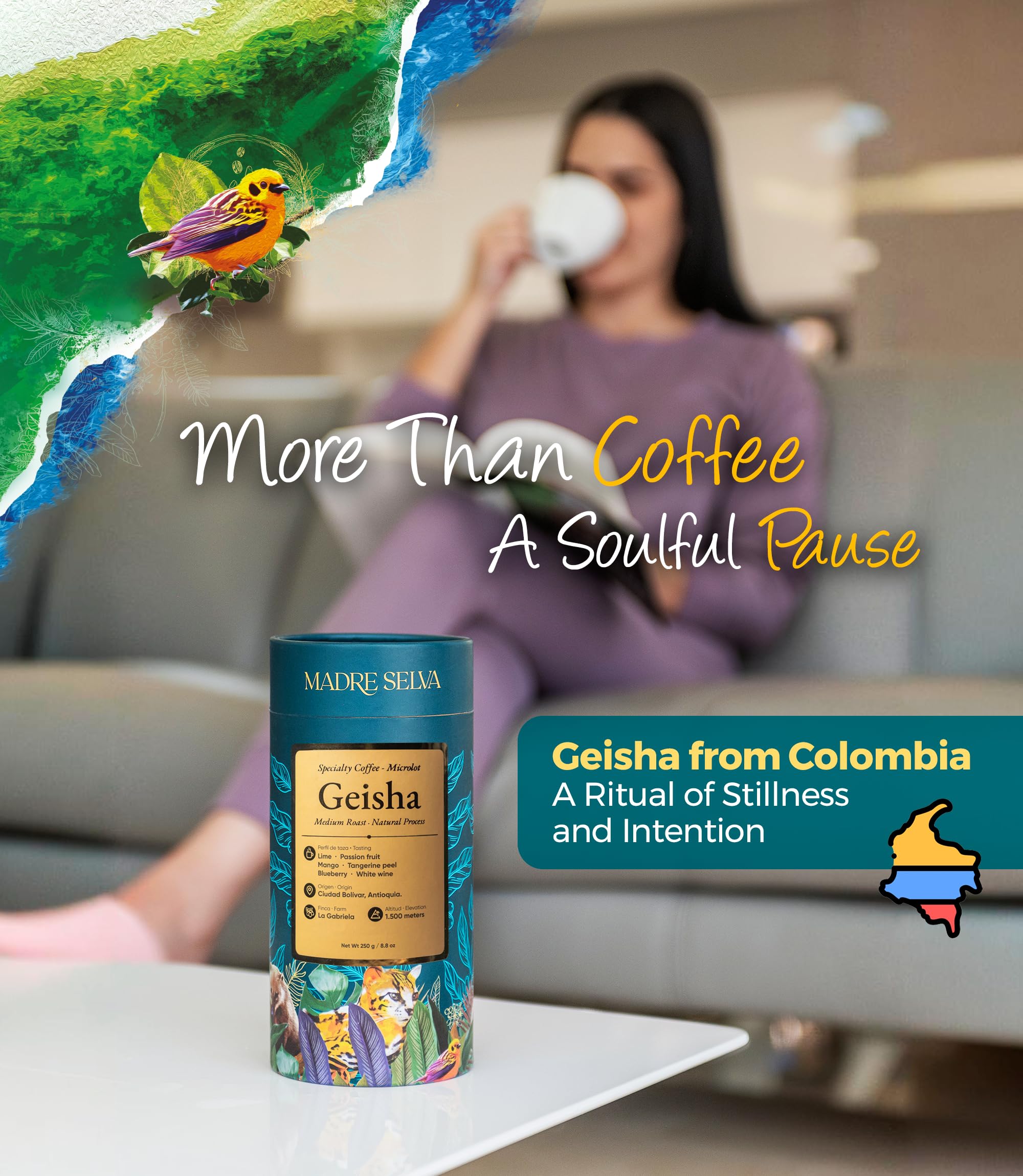 Colombian Geisha Coffee Whole Bean Medium Roast Arabica Gourmet Fresh Single Origin Premium Low Acid Exotic Notes Rich Aroma Smooth Flavor Quality High Altitude Giftable Pack Freshness Lock 8.8oz 250g