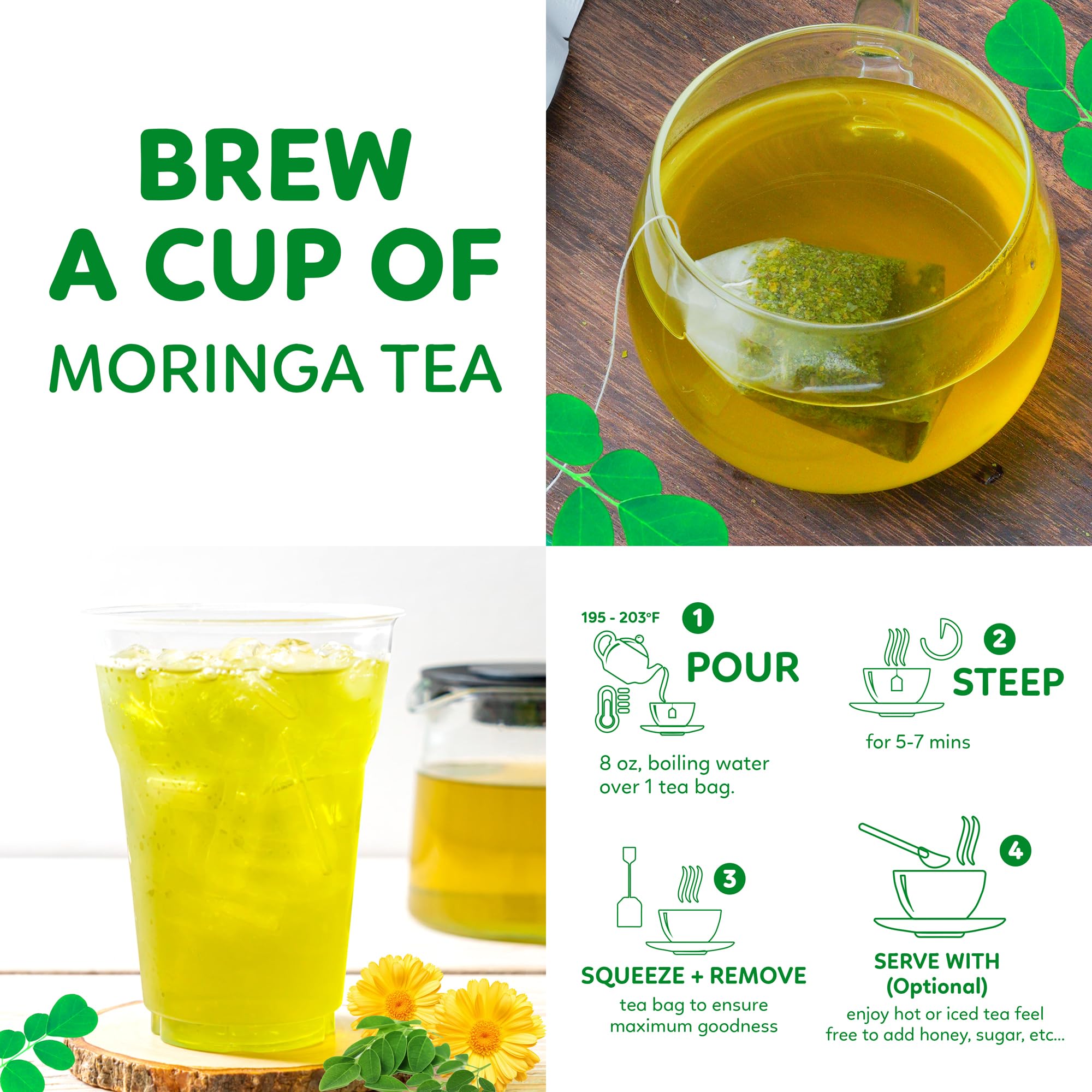 Indochine Blends Tea Bags | Sugar-Free, Caffeine-Free Herbal Tea | Double Chamber, Individually Wrapped Bags | Rich in Natural Goodness and Flavor (50 Tea Bags (Pack of 1), Moringa Tea)