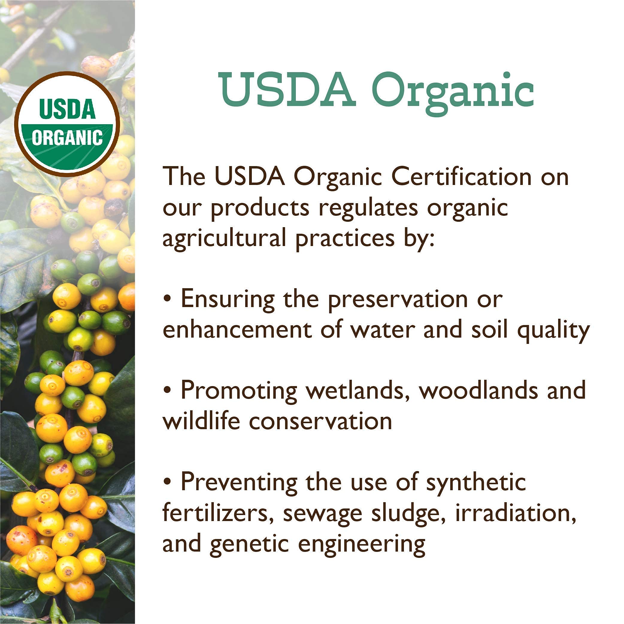 Fresh Roasted Coffee, Organic Mexican Drip Ground Coffee, Medium Roast, USDA Organic, 3rd Party Tested for Mold, Mycotoxin & Pesticides, Kosher, 5 lb (80 oz)