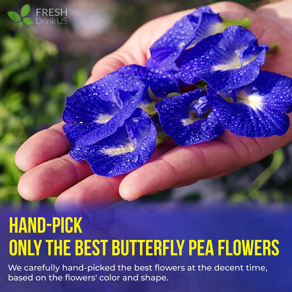 FreshDrinkUS, Premium 35 Blue Butterfly Pea Flowers Tea Bags, 100% Natural and Pure from Butterfly Pea Flowers, Made With Natural Material Tea Bag, No Sugar, No Caffeine, No Gluten, Vegan