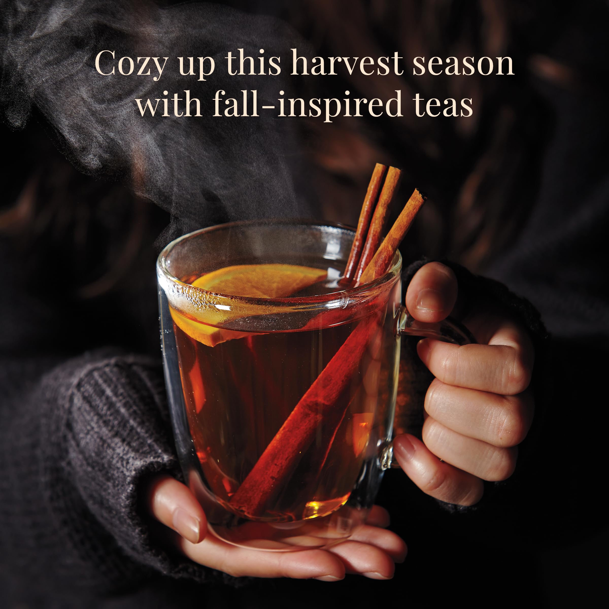 The Republic of Tea: Fall Harvest Tea Assortment Cube, 24 Tea Bags