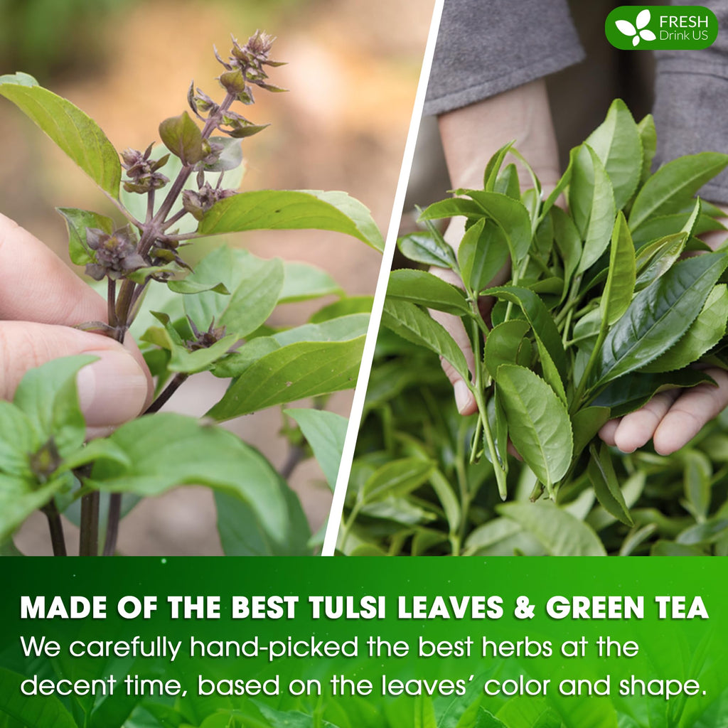 FreshDrinkUS, Premium 75 Tulsi Green Tea Bags, 100% Natural & Pure, Herbal Tea, No Sugar, No Caffeine, No Gluten, Vegan.