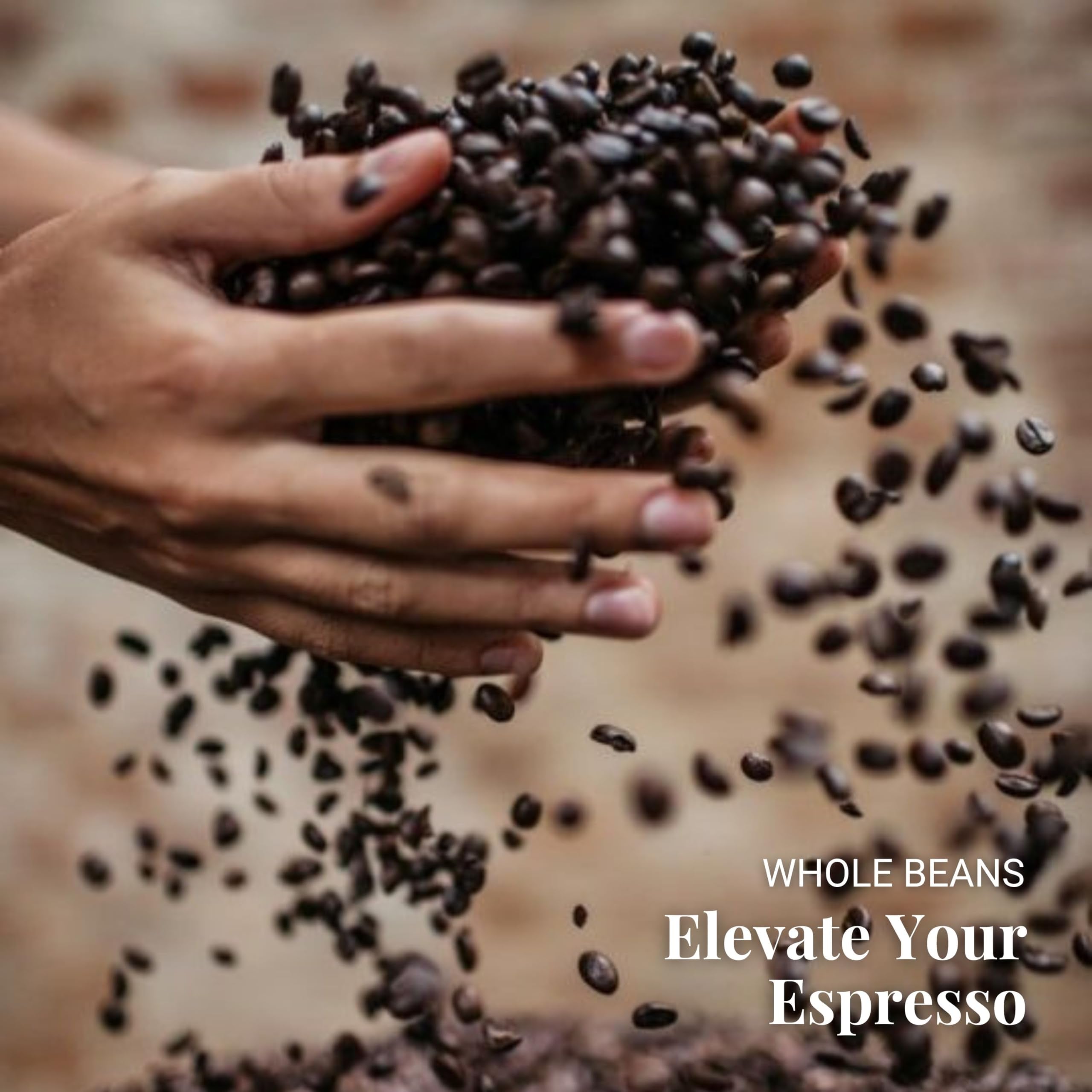 Caffe Vergnano Whole Bean Coffee, Espresso Beans, Antica Bottega