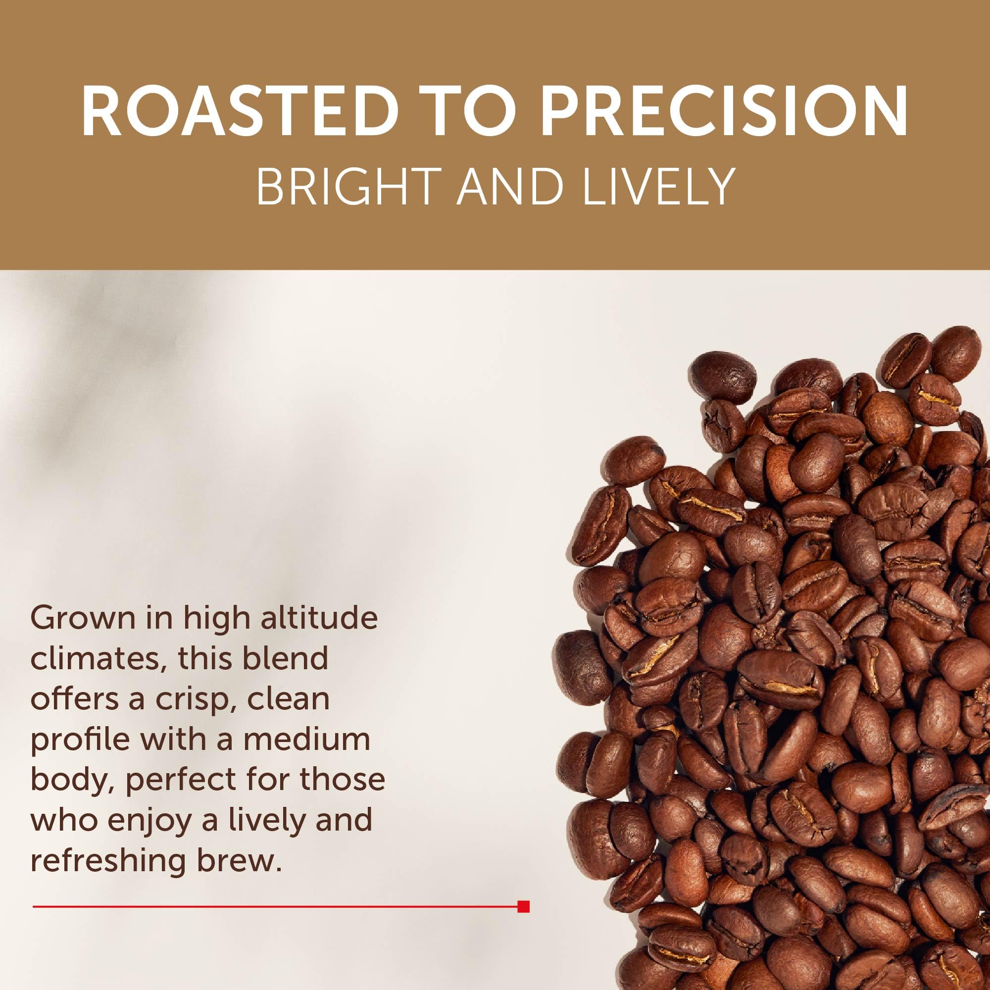 illy Whole Bean Coffee, Costa Rica Single Origin Medium Roast, 8.8oz 6 Pack
