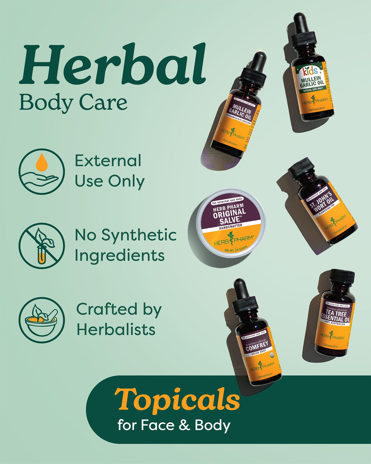 Herb Pharm Mullein Garlic Oil: Infused Oil for Topical External Use with Certified Organic Mullein Extract, Garlic Extract, Calendula & Responsibly Wildcrafted St. John's Wort, 1 oz