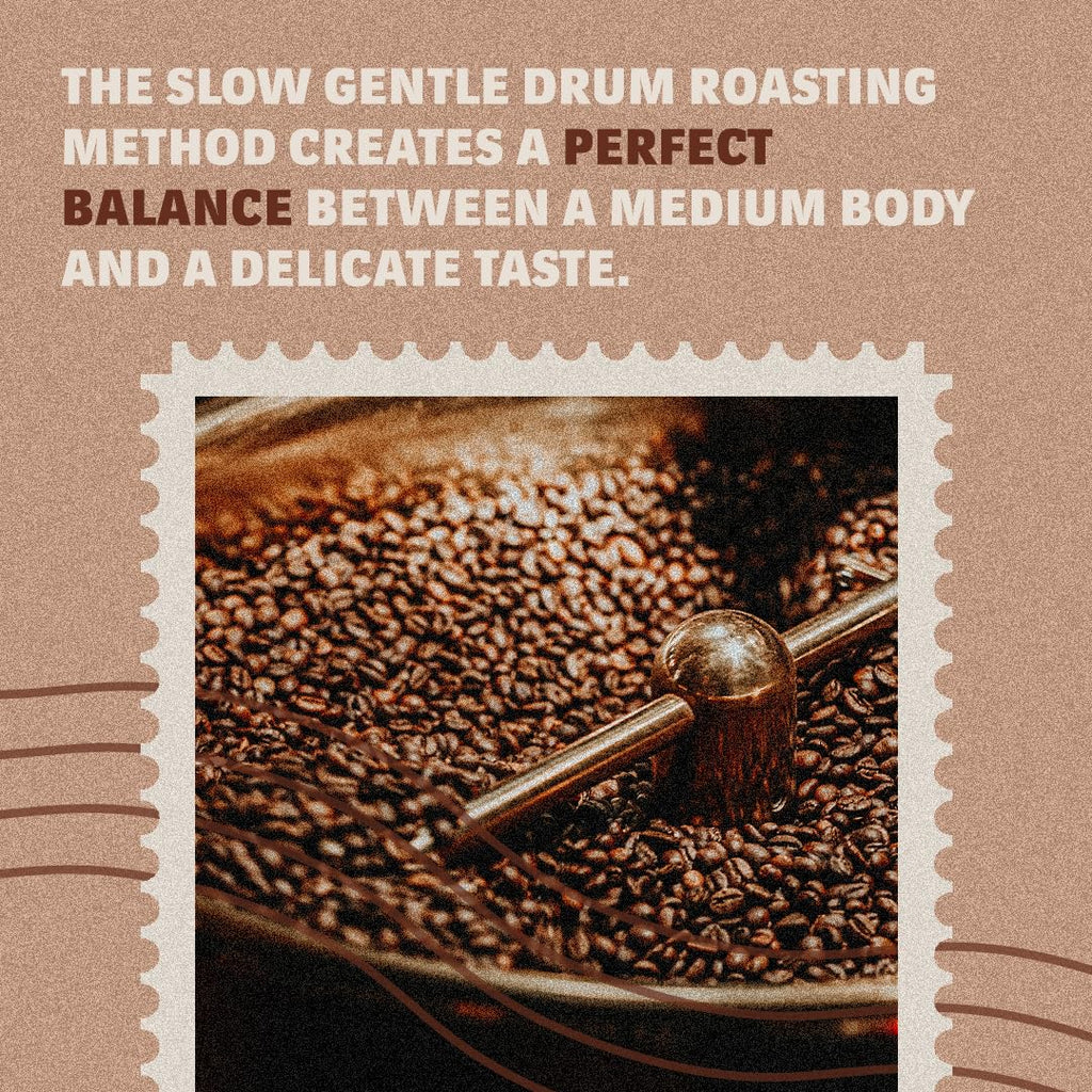 Lavazza Tierra! Selection Whole Bean Coffee Blend, Medium Roast, 2.2LB Bag, 100% Arabica, Rainforest Alliance Certified, sustainably grow