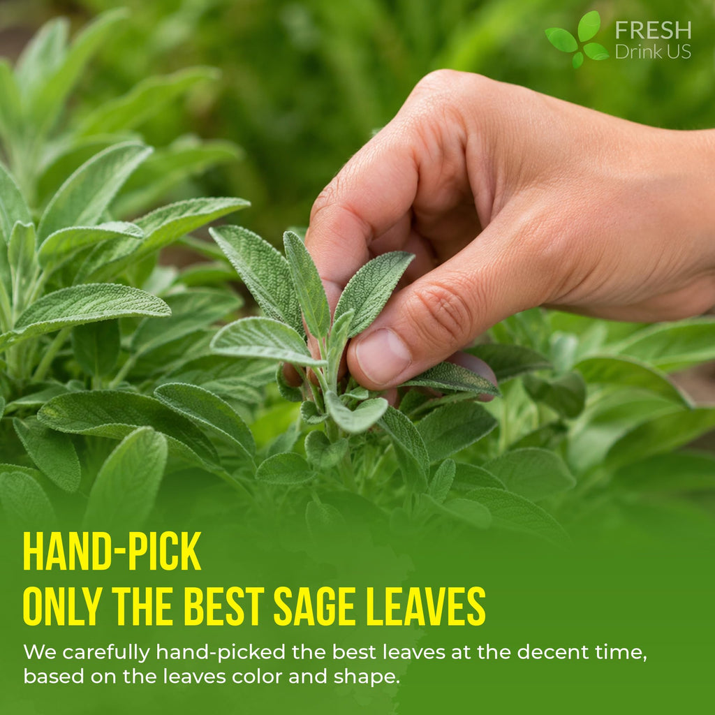 FreshDrinkUS, Premium 135 Sage Leaf Tea Bags, 100% Natural & Pure. Loose Leaf Herbal Tea. Made with Eco-Conscious Tea Bags. No Sugar, No Caffeine, No Gluten, Vegan.