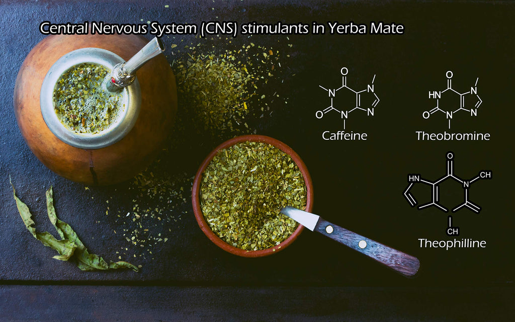 Yerba Mate Tea 1LB (16Oz) HI-CAFFEINE 100% CERTIFIED Organic SUPER-GREEN Yerba Mate | NO Dust | FRESH - NEVER Aged (Ilex Paraguariensis) | Brazilian Rain Forest Grown from U.S. Wellness Naturals