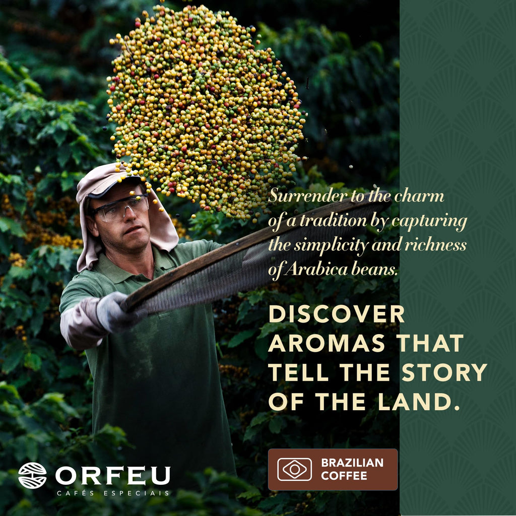 ORFEU - Specialty Coffee Intense - Drip Sachet - Arabica, Dark Roast, Notes of Toasted Caramel & Fruit Jam - Low Acidity - 10 Units (3.52 oz / 100g)