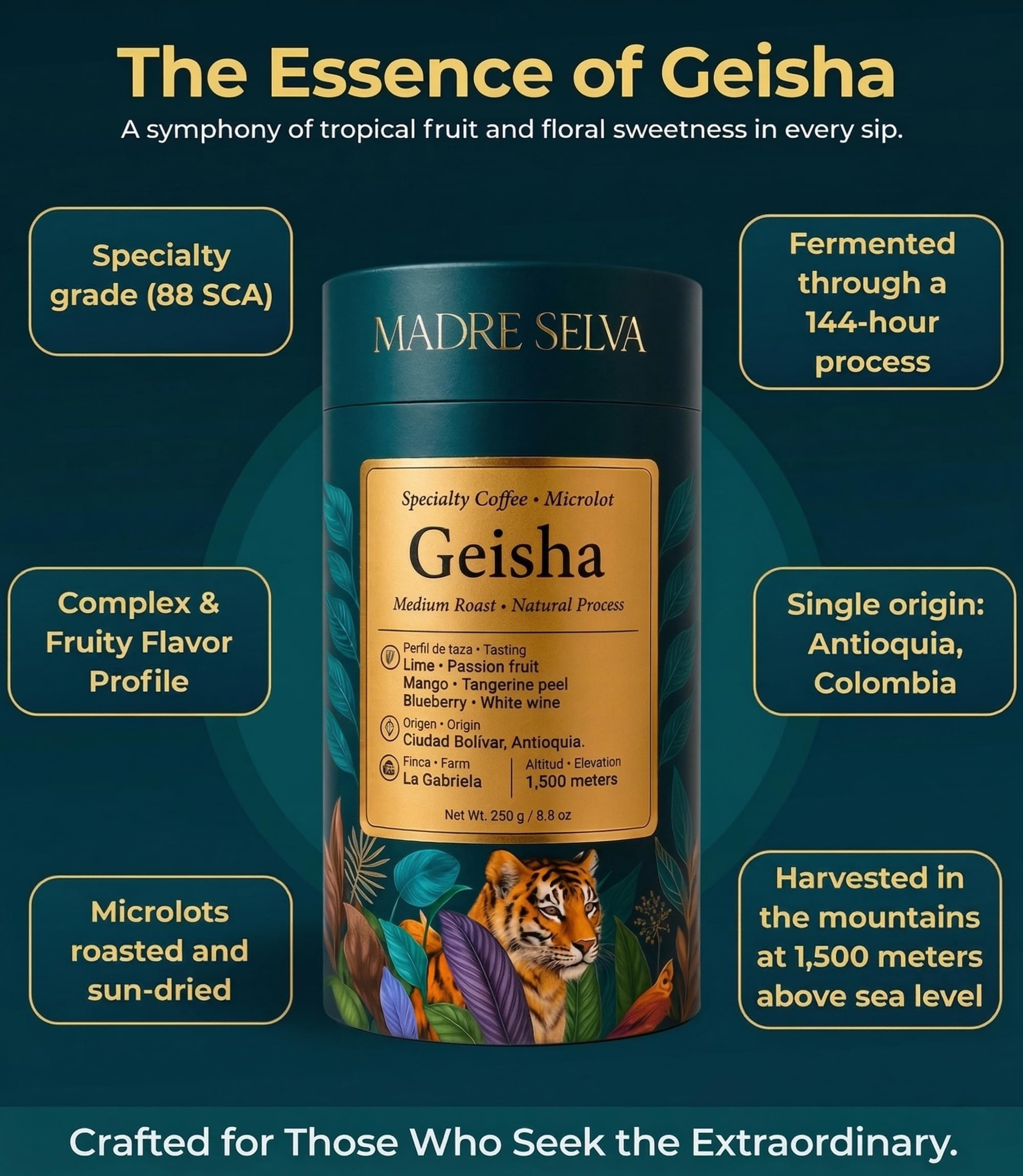 Colombian Geisha Coffee Whole Bean Medium Roast Arabica Gourmet Fresh Single Origin Premium Low Acid Exotic Notes Rich Aroma Smooth Flavor Quality High Altitude Giftable Pack Freshness Lock 8.8oz 250g