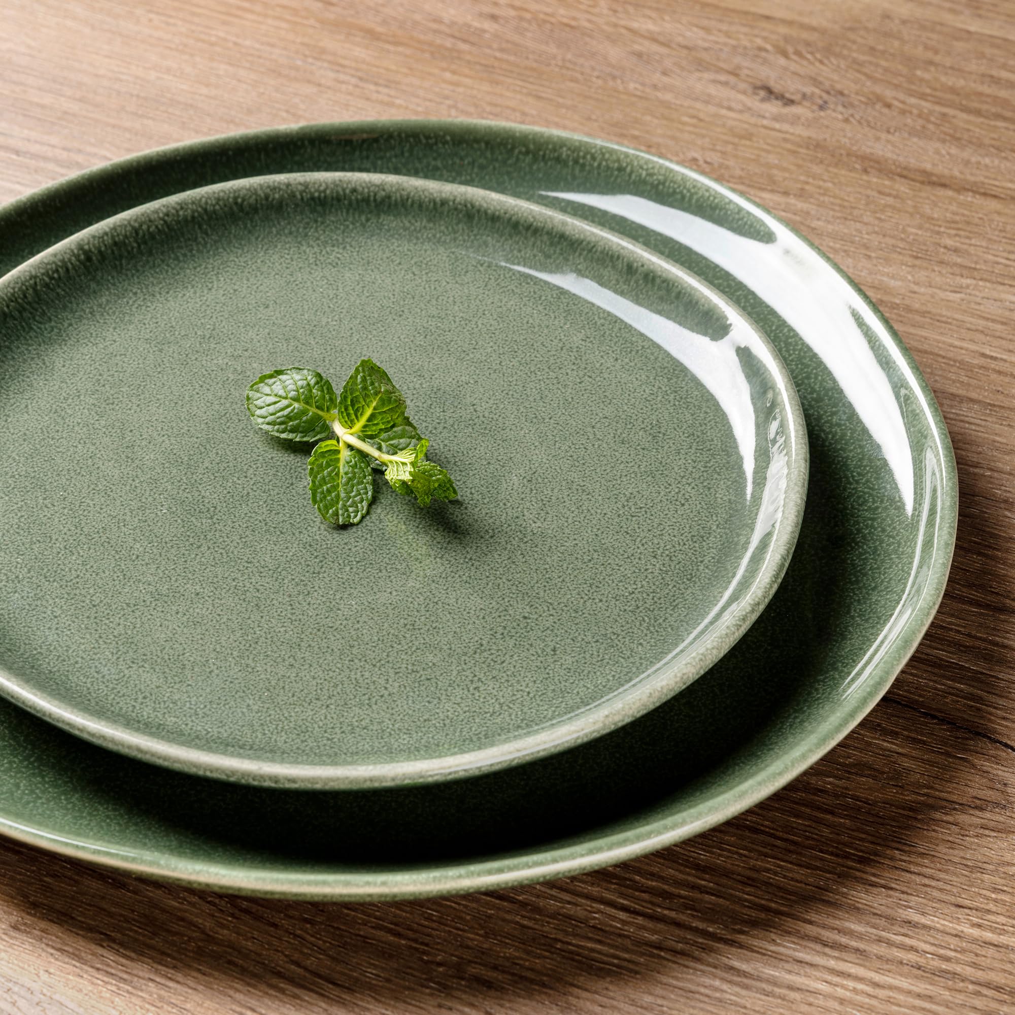 AmorArc Ceramic Dinner Plates Set of 6, 10.5 Inch Stoneware Plates Set