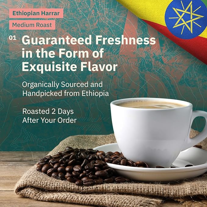 Kochere Ethiopian Harrar Whole Bean Coffee – 2LB Medium Roast – Fresh Roasted to Order – Single Origin, Farm Direct, Rich Flavored Coffee Beans – Chocolate & Fruity Notes