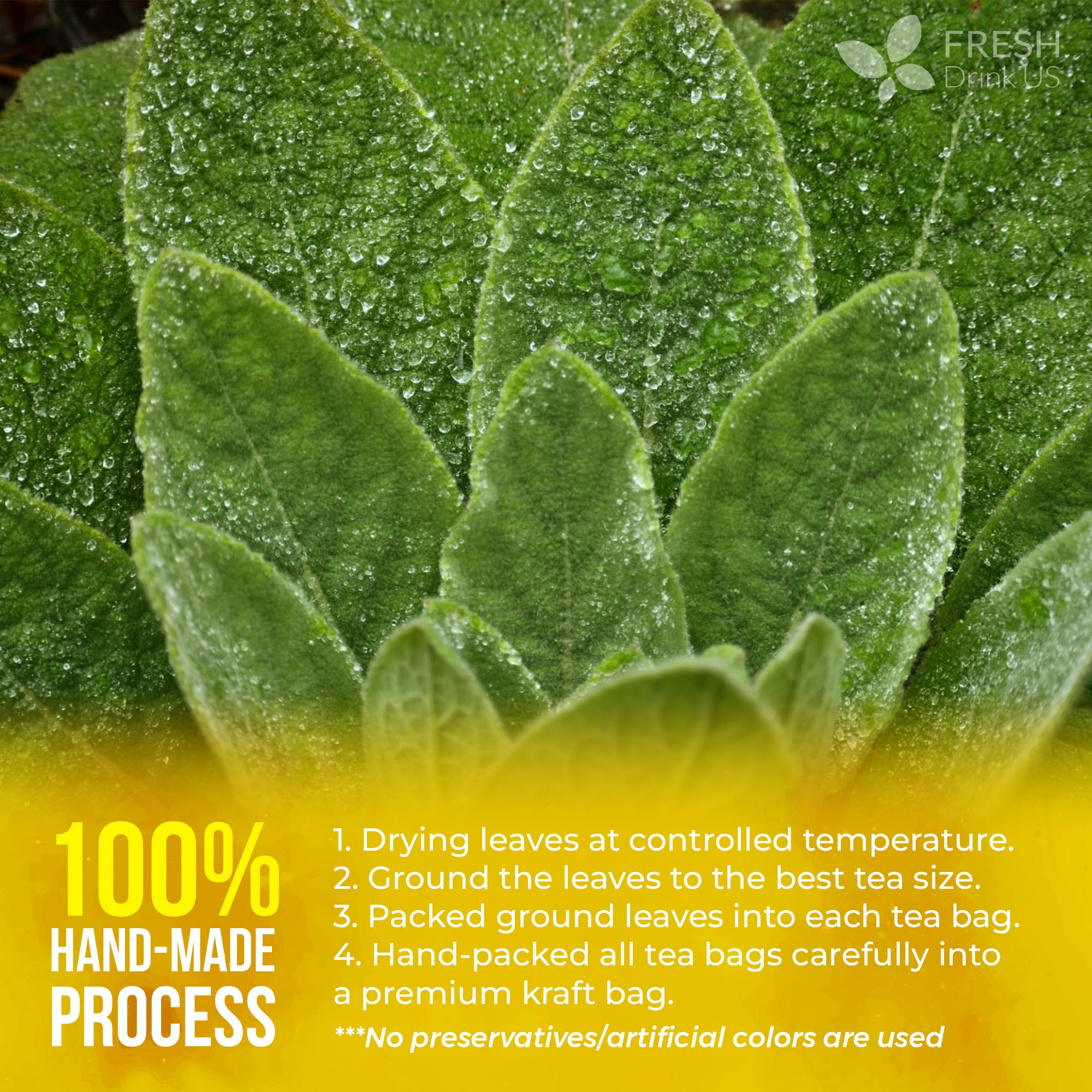 FreshDrinkUS, Premium Mullein Leaf Tea - 10 Bags, 100% Natural & Pure. Made with Eco-Conscious Tea Bags. No Sugar, No Caffeine, No Gluten, Vegan.