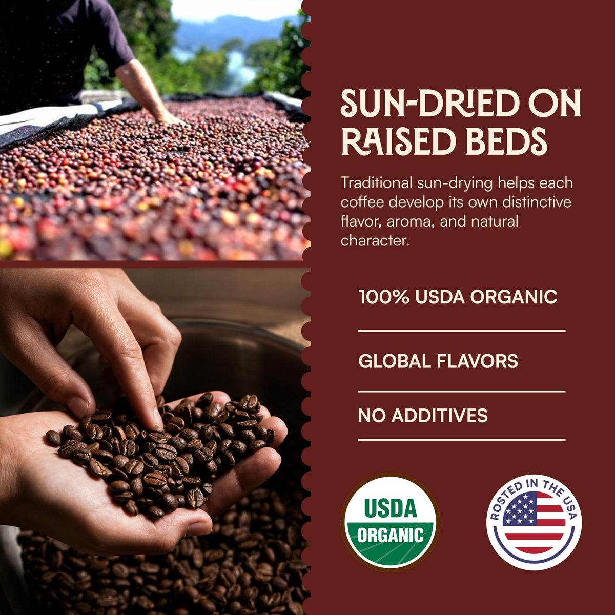 Split Oak Coffee Roasters Gourmet Gift Box – Whole Bean Variety Pack Gift Box, 9 Medium Roast Coffees from Around the World – Global Tasting Collection, 2oz Bags, Roasted in the USA