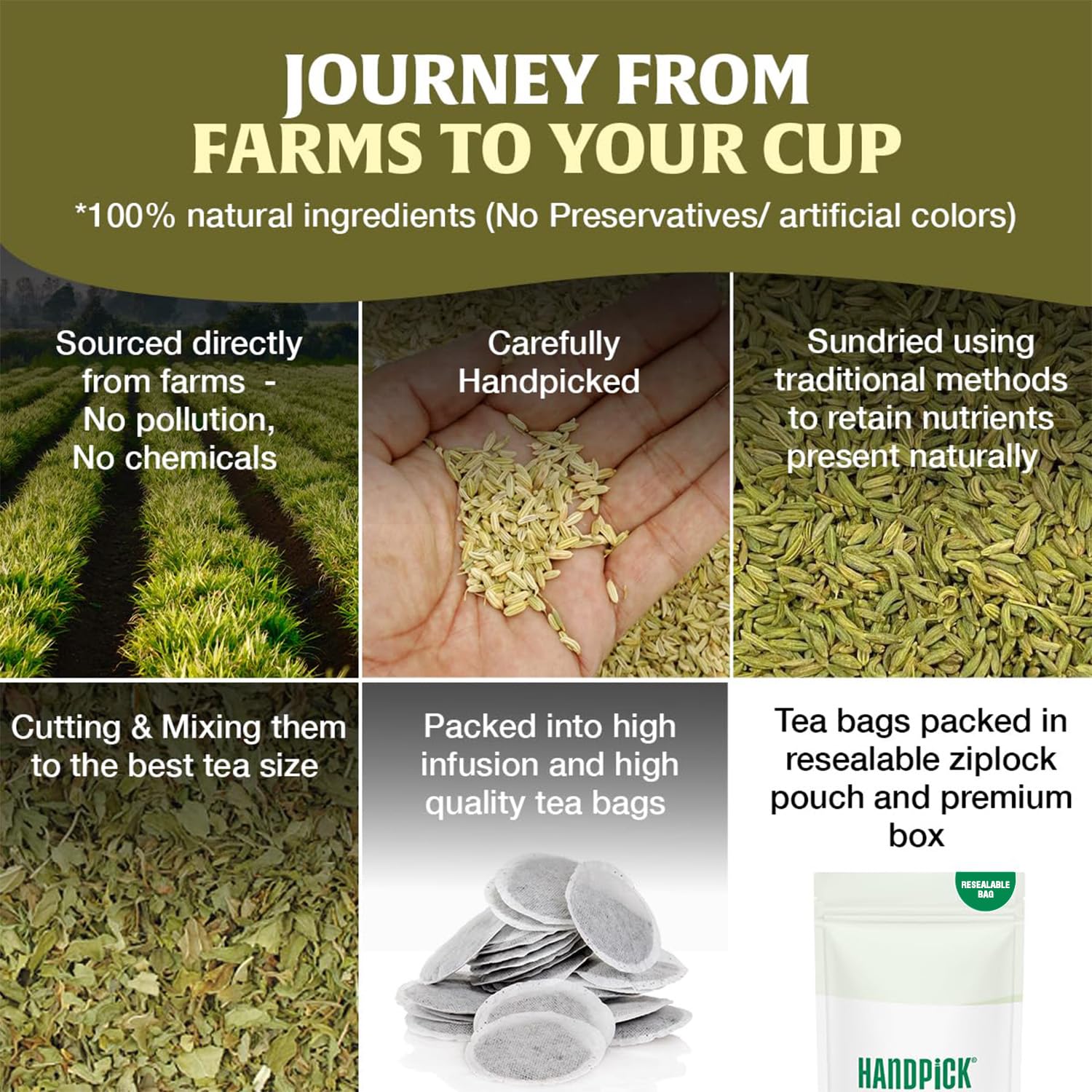 HANDPICK Fennel Seed Tea Bags (100 Count), Authentic Indian Origin with Natural Aroma & Sweetness | 100% Pure, Non GMO & Caffeine Free