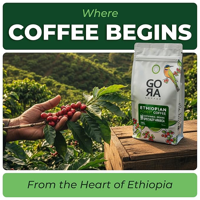 GO RA COFFEE – Ethiopian Roast Whole Bean – Organic Arabica from Ethiopia – Mycotoxin-Free, Single Origin African Beans – Roasted at Source – 500g (17.64 oz) – by Moyee Coffee