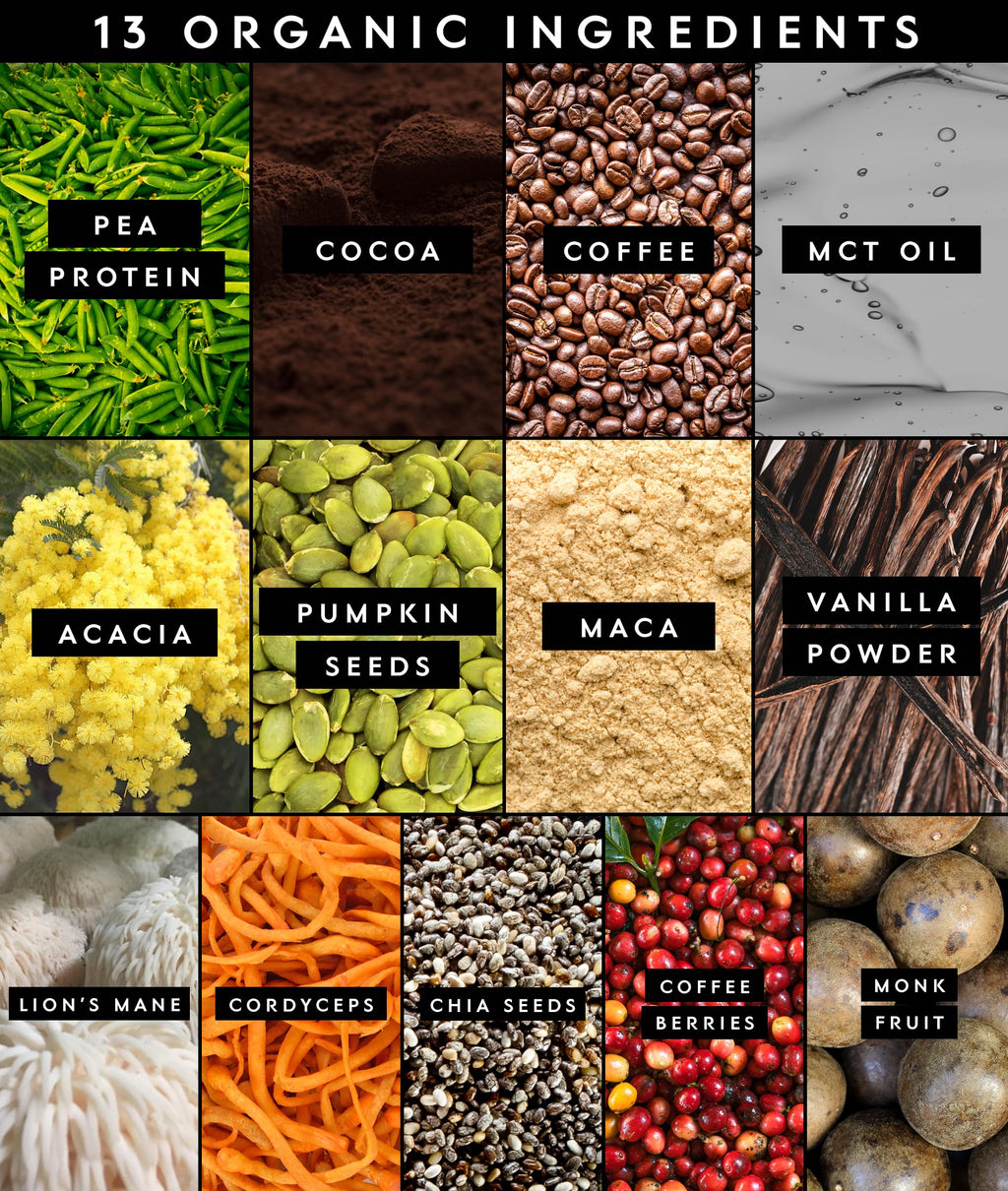 Truvani Protein + Energy | Chocolate Mocha | 20 Servings