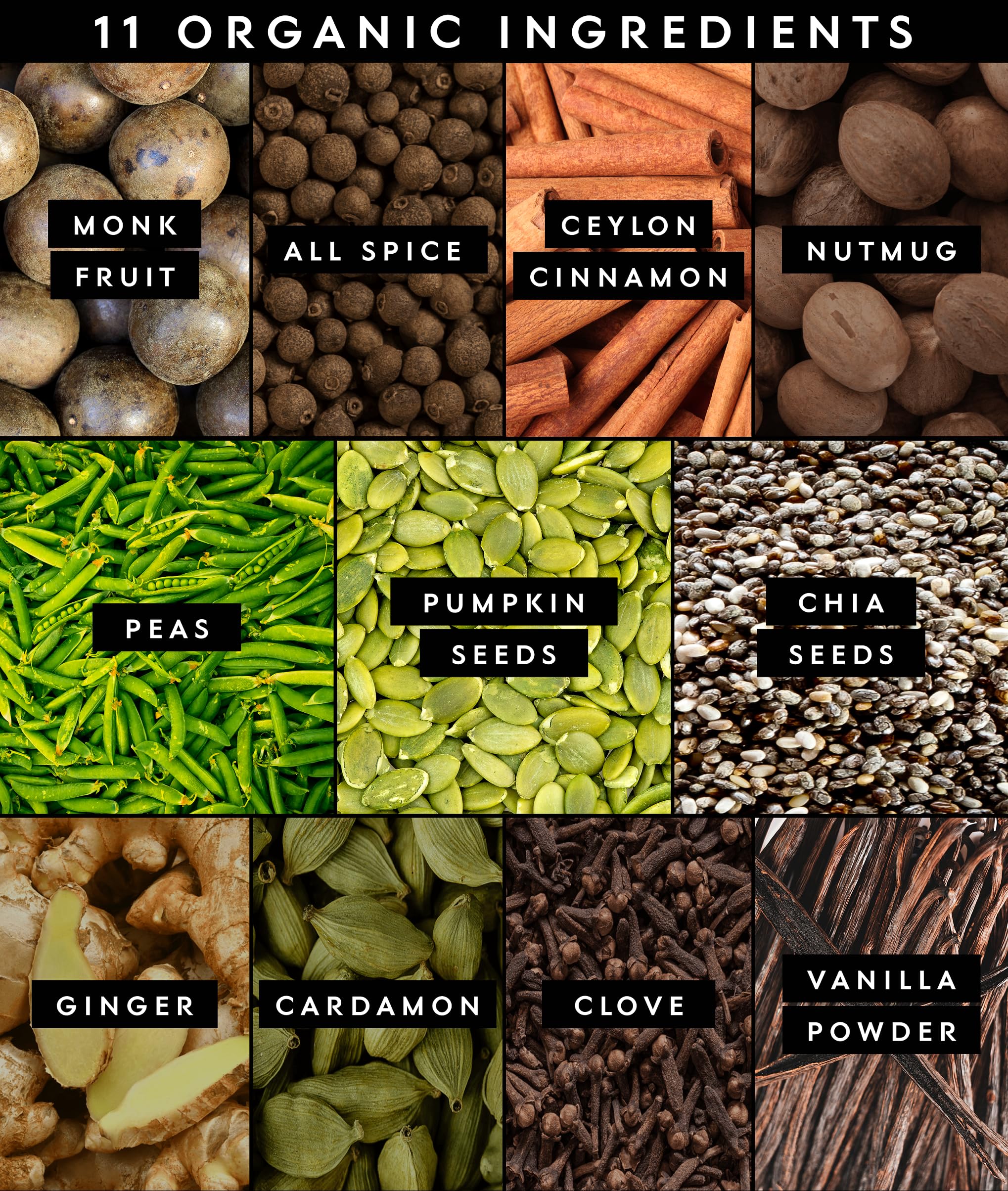Truvani Organic Plant Based Protein Powder | Vanilla Chai | 10 Servings