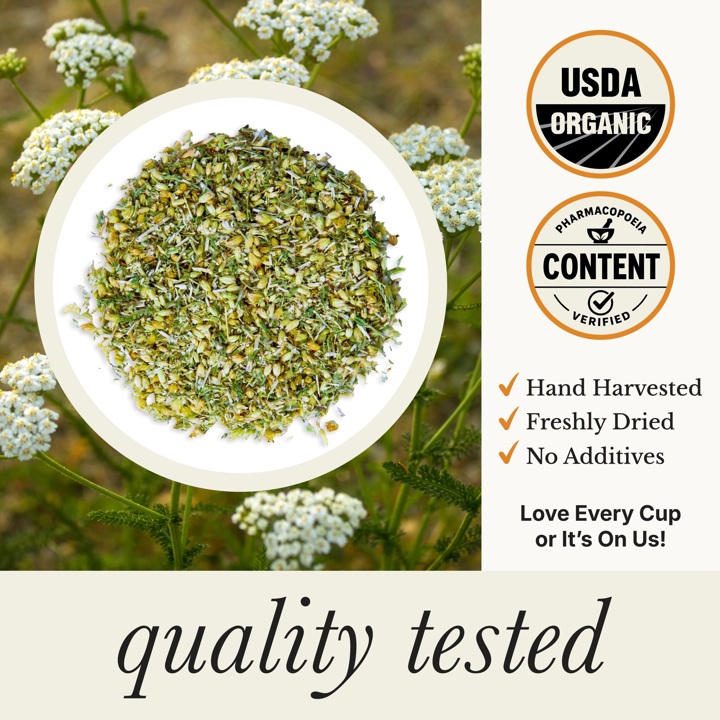 Wild Bliss Organic Yarrow Flower Tea - Caffeine Free Loose Leaf Herbal Tea - Pharmacopoeia Potency - 7 Ounces - 100 Servings