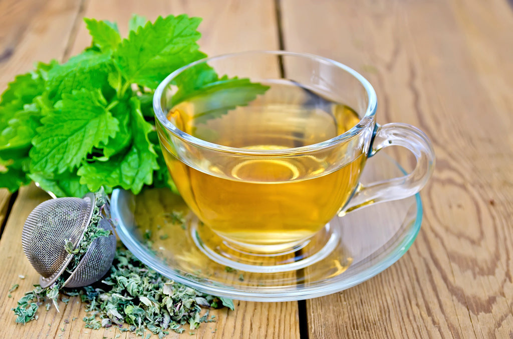 Lemon Balm (Herbal Tea): (Melissa Officinalis Caffeine Free) - Balm Leaf (Cut and Sifted), 1lb (16Oz) U.S. Wellness Bulk Tea