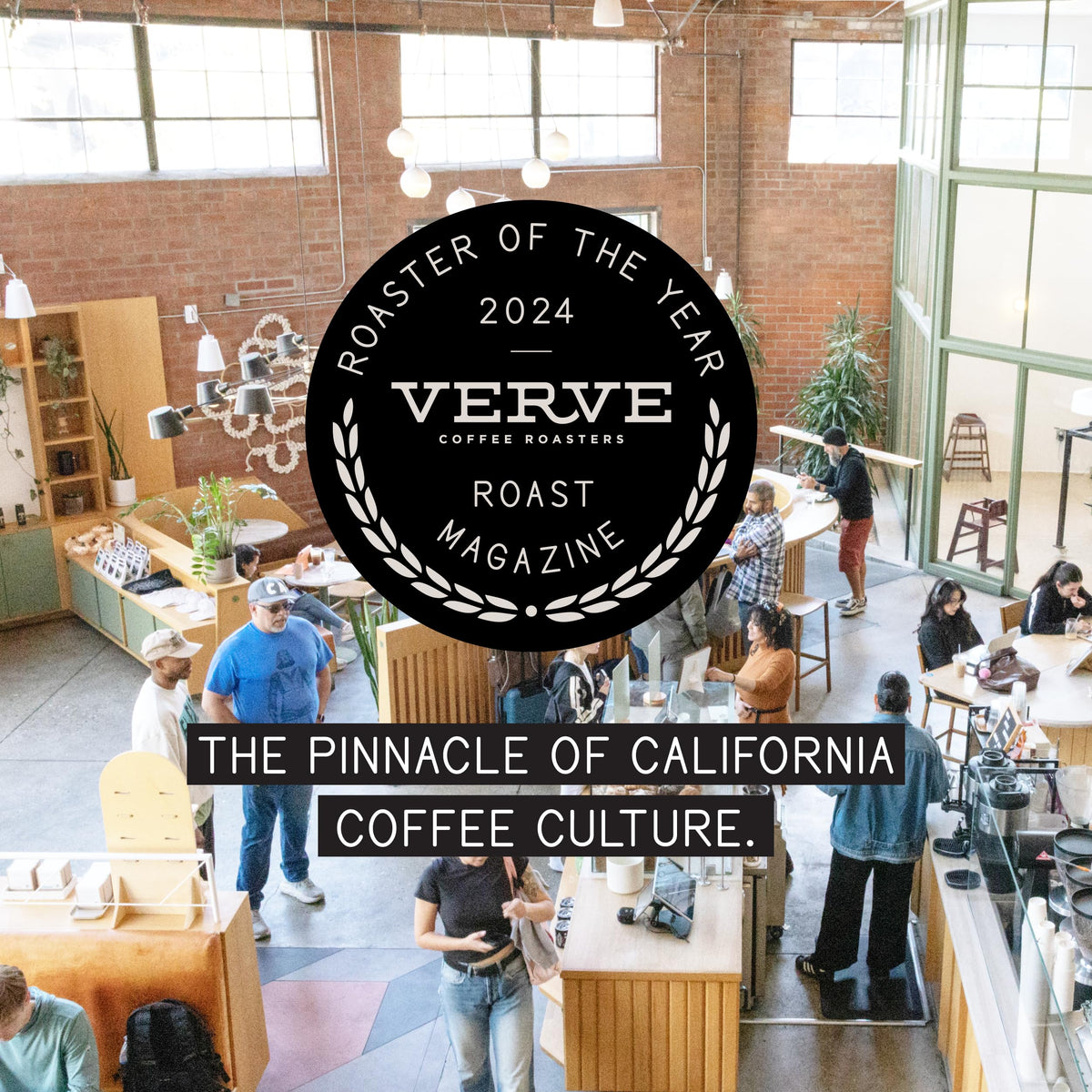 Verve Coffee Roasters | Bronson French Roast Whole Bean Coffee | Dark Chocolate & Molasses | High-Elevation Latin American Blend | Washed Process Specialty Dark Roast | 12 Ounces
