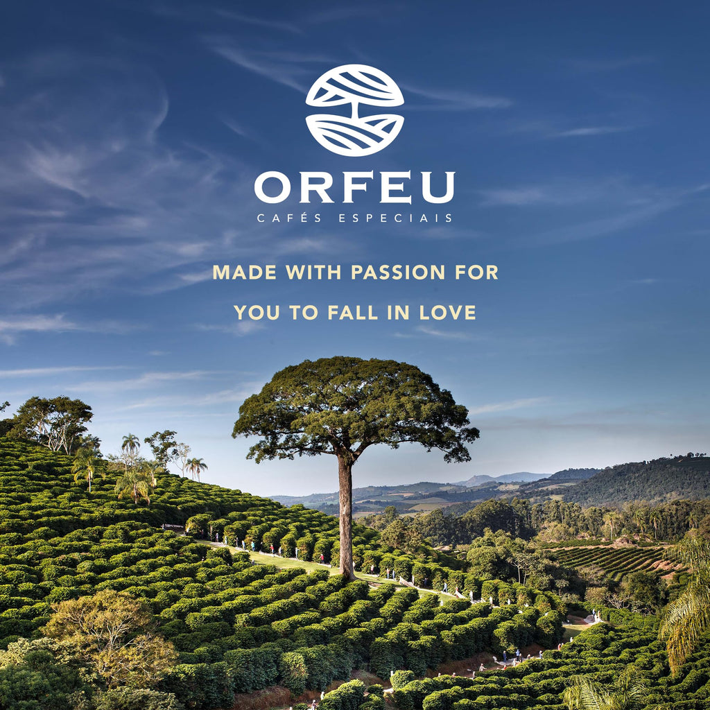 ORFEU - Specialty Coffee Intense - Drip Sachet - Arabica, Dark Roast, Notes of Toasted Caramel & Fruit Jam - Low Acidity - 10 Units (3.52 oz / 100g)