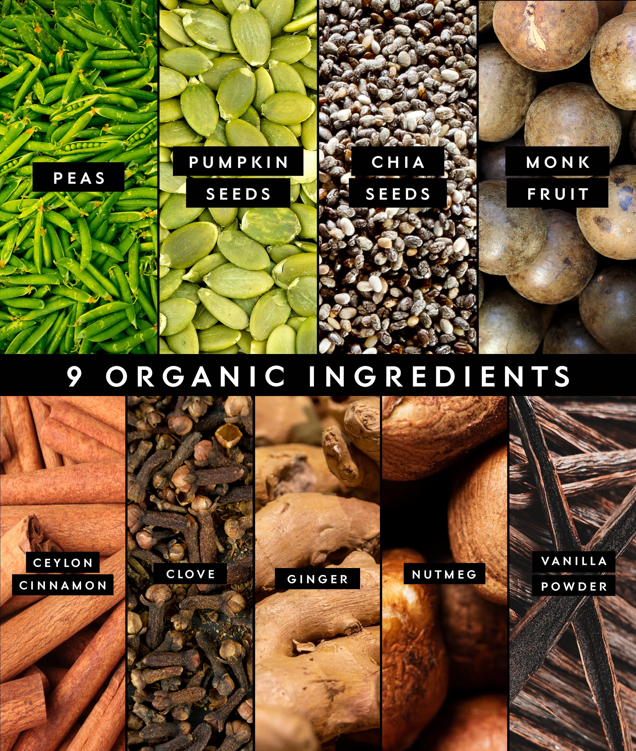 Truvani Organic Plant Based Protein Powder | Pumpkin Spice | 10 Servings