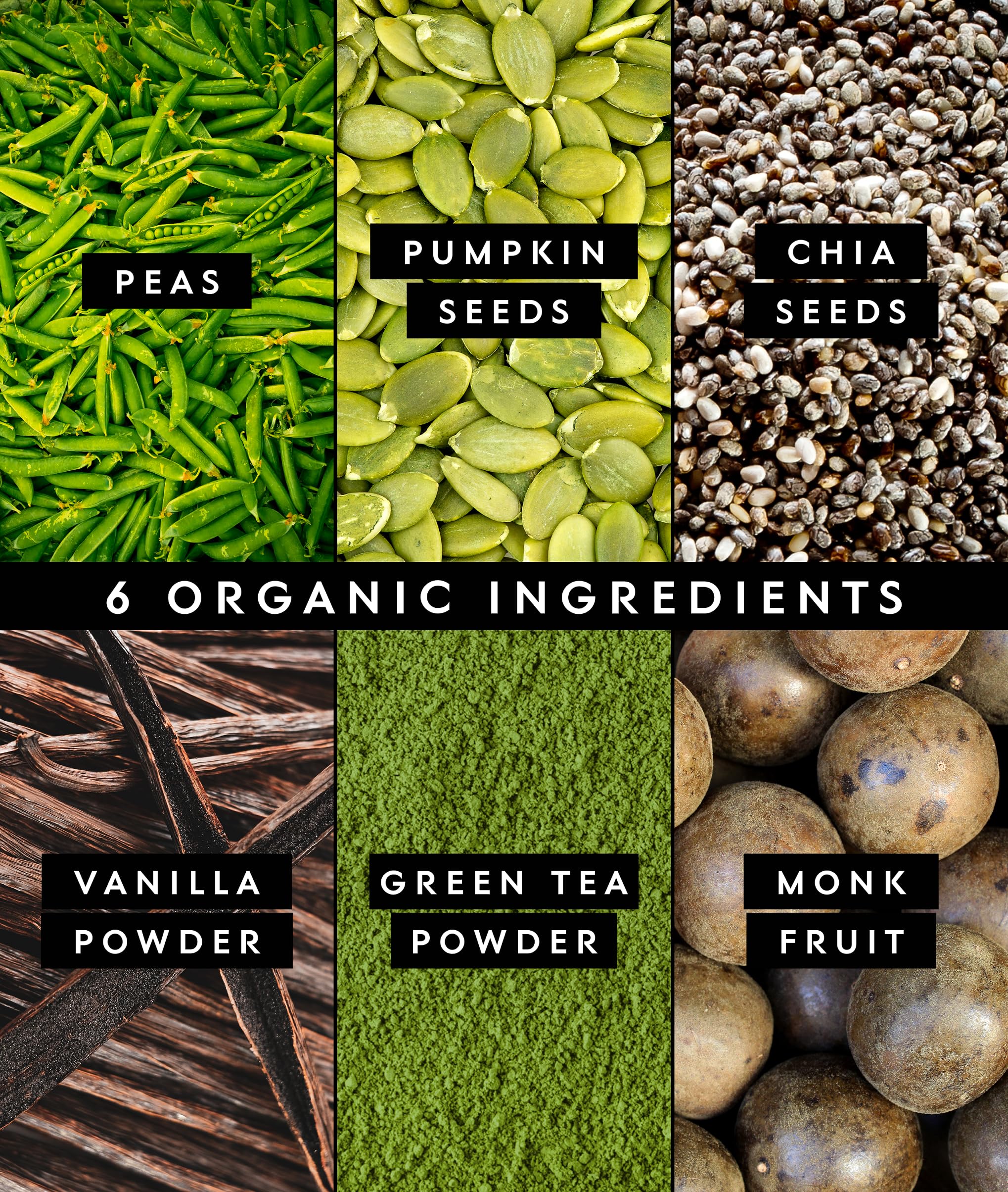 Truvani Organic Plant Based Protein Powder | Matcha | 1 Serving