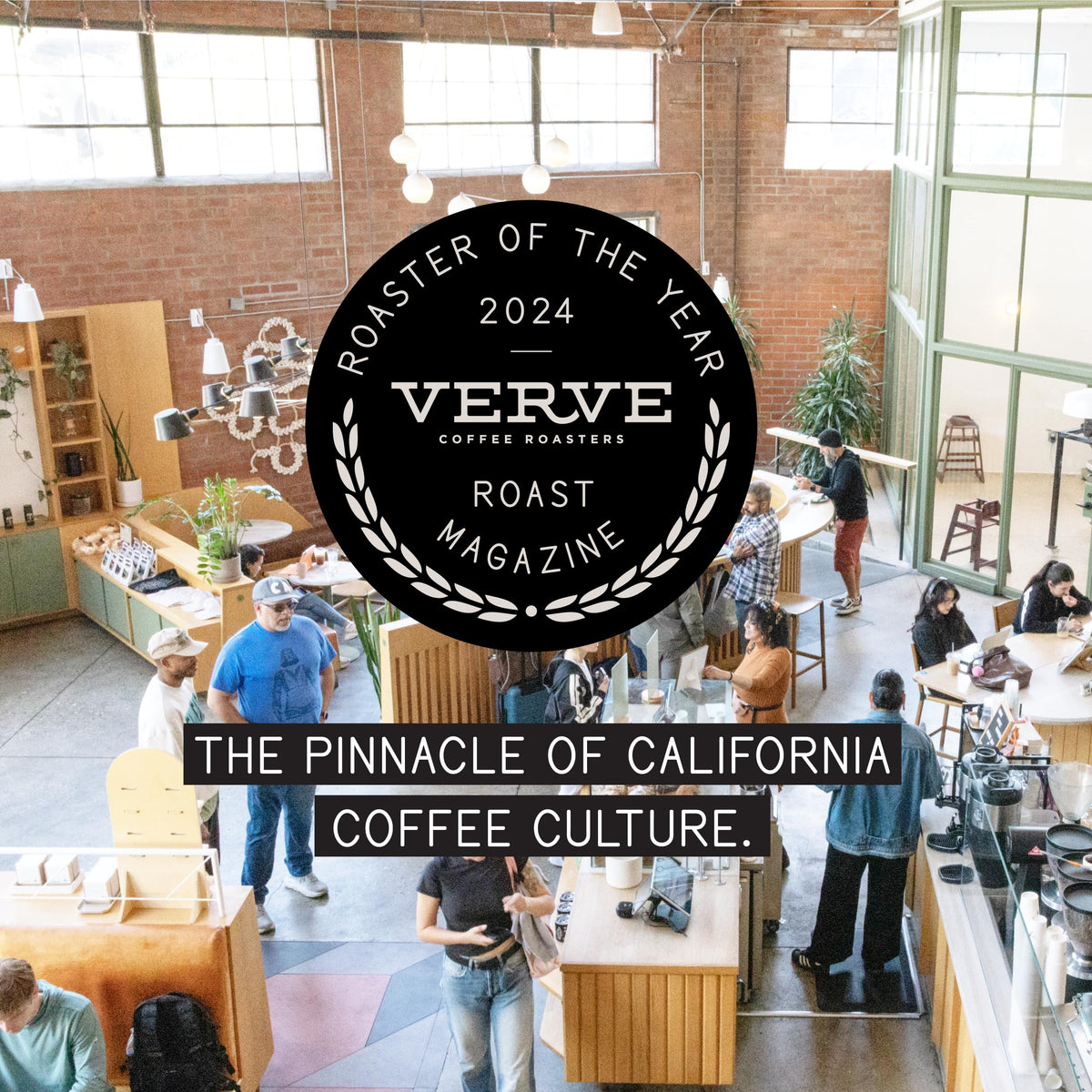 Verve Coffee Roasters | Seabright House Blend Whole Bean Coffee | Honeydew, Apricot & Hazelnut | El Salvador & Guatemala Blend | Washed Process Specialty Medium Roast | 12 Ounces