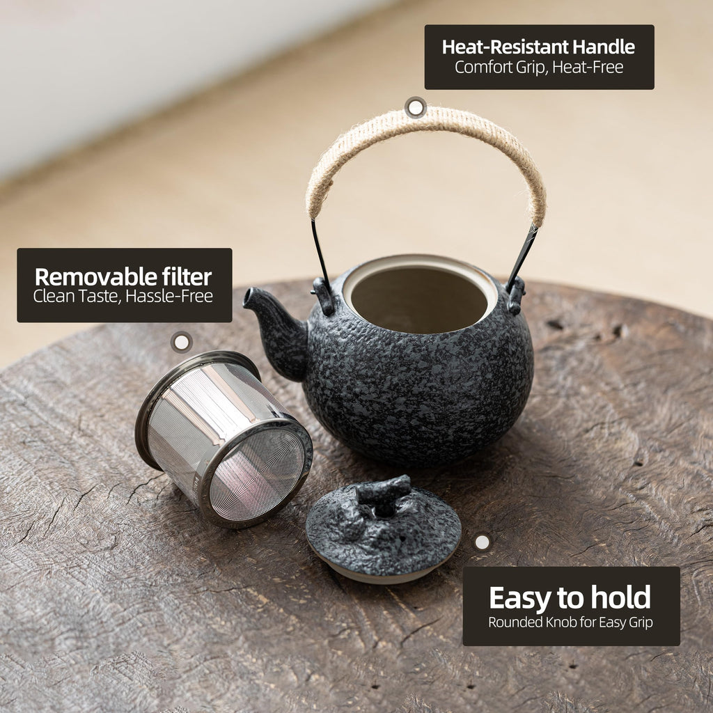 TEANAGOO Japanese Tea Set, Chinese Tea Sets, Porcelain Japanese Tea Cups, Chinese Gongfu Tea Set, Asian Tea Set for Adults, Japanese Teapot Set, 1 Teapot (700ml/25oz) + 4 Tea Cups(205ml/7.2oz), U2