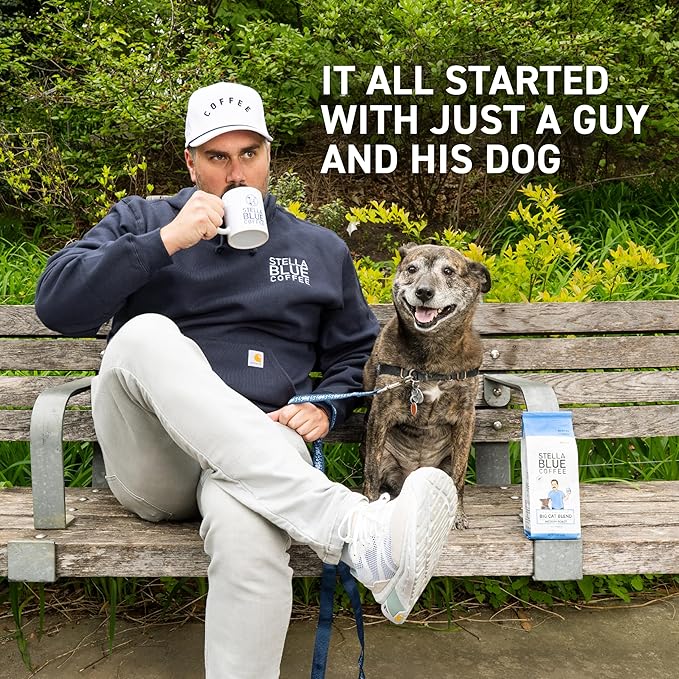 Stella Blue Whole Bean Coffee, Big Cat Blend, Medium Roast, Caramel, Hazelnut and Fruity Notes, 100% Arabica, Ethically Sourced from Central and South America, 12 oz bag