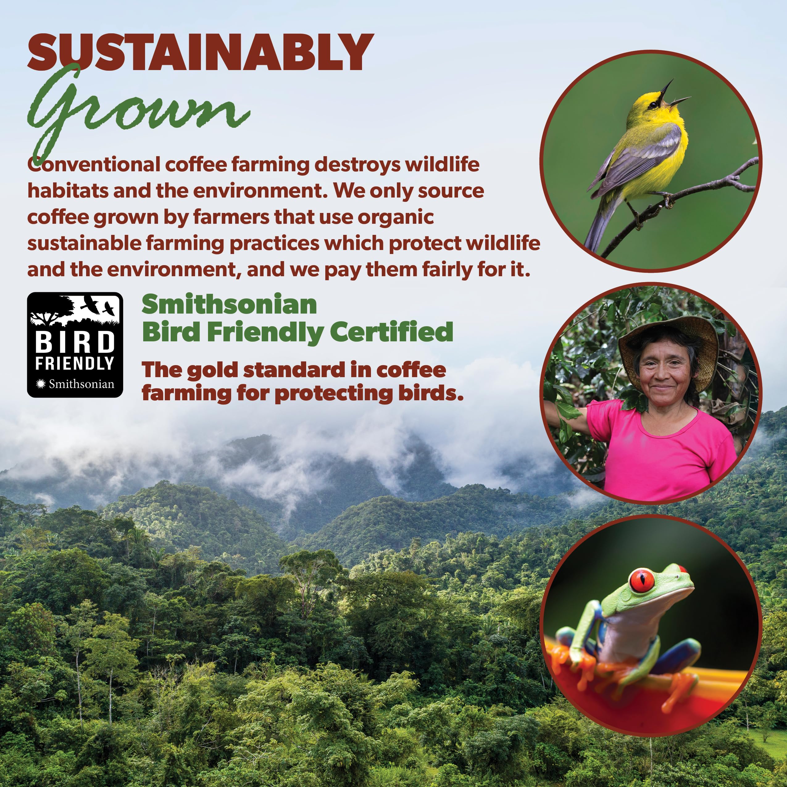 Java Planet Low Acid Organic Colombian Coffee Beans, Medium Dark Roast 32oz