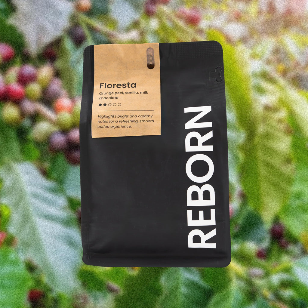 Reborn Coffee Specialty Whole Bean Coffee, Medium Roast, 12 Ounce, Reborn Signature Floresta Espresso Blend, Flavor Notes of Chocolate, Vanilla, and Orange